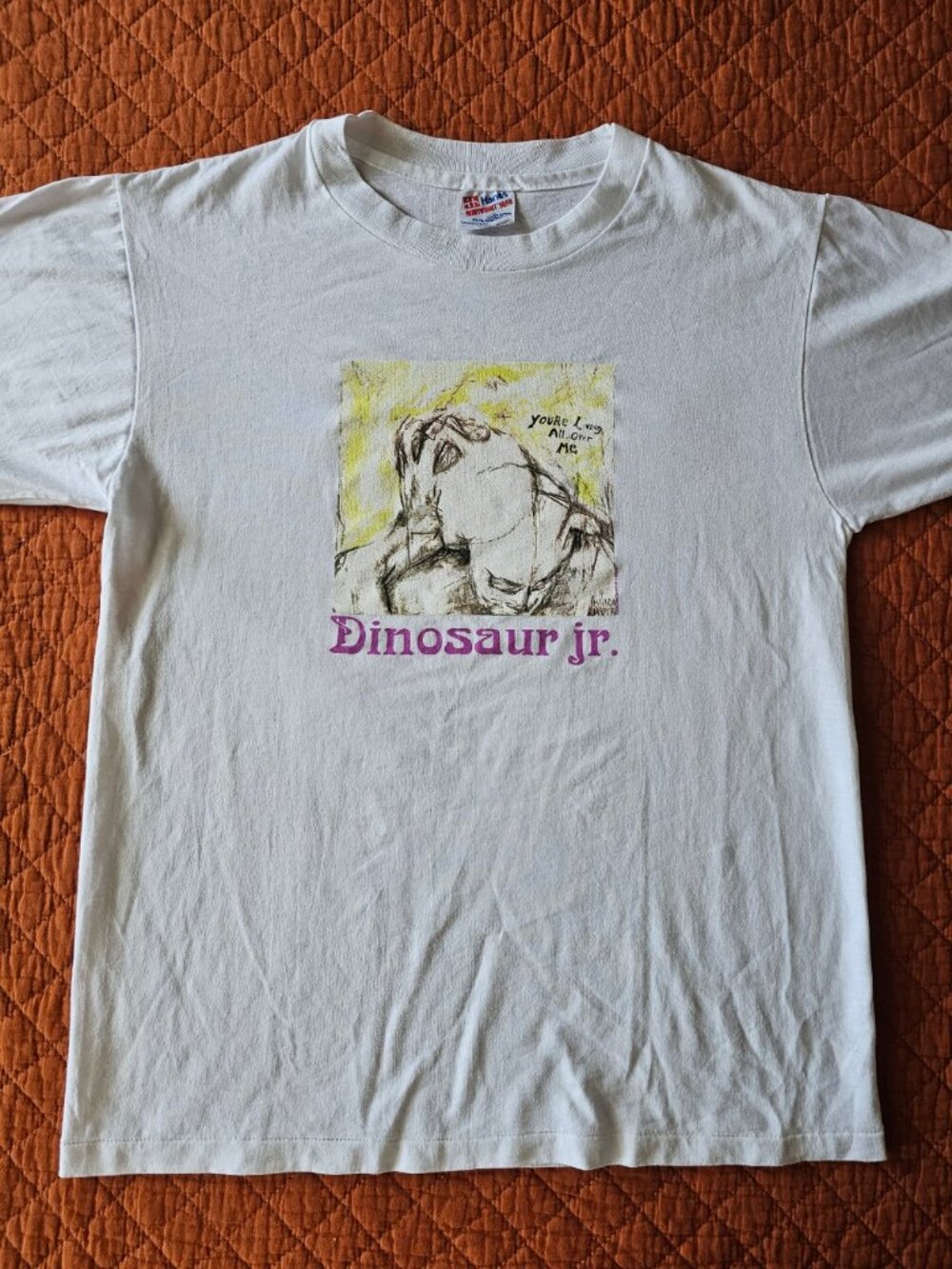 Dinosaur Jr. x Jerks™ "You're Living All Over Me" (YLAOM) Vintage White T-shirt